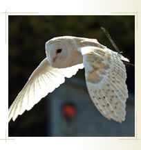 Slideshow Image 2