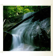 Slideshow Image 2
