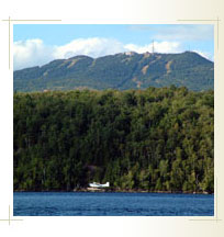 Slideshow Image 3
