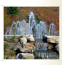Slideshow Image 3