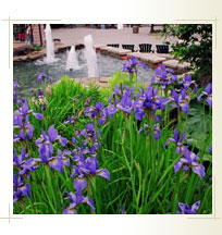 Slideshow Image 2