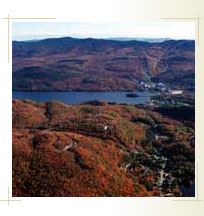 Slideshow Image 1